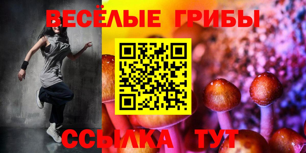 купить  цена  Псилоцибиновые грибы ЛСД  Вход с VPN  Галлюциногенные грибы ЛСД  Городец 